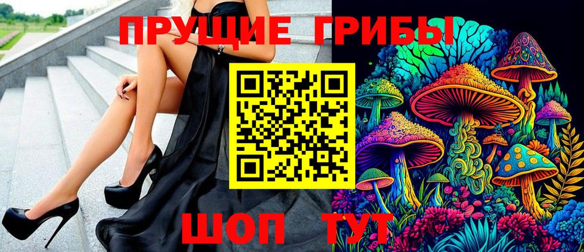 Псилоцибиновые грибы Cubensis Печора